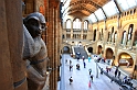 Museo di storia naturale